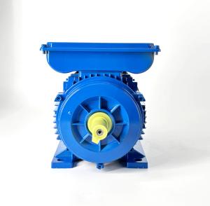 Wholesale Single Phase AC Induction Motor YL90S-4 - 1.1KW 1400RPM 220V 50Hz from china suppliers