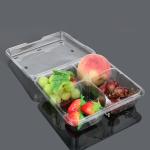 Supermarket 4 Compartment Blister Disposable Plastic Food Box