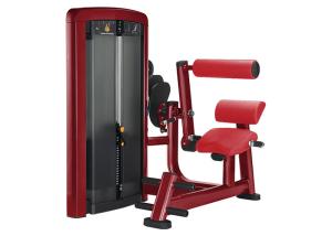 Wholesale OEM Back Extension Gym Physical Workout Equipments from china suppliers