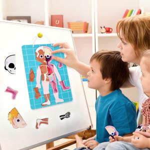 Wholesale Body Structure Anatomy Montessori Jigsaw Puzzles For Kids Preschool Learning from china suppliers