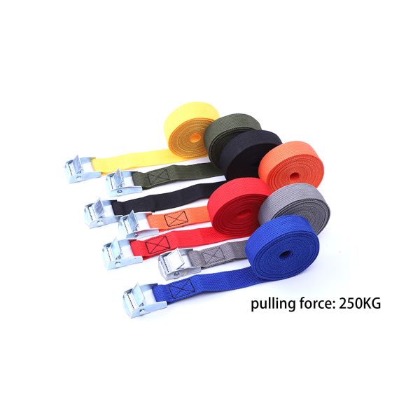 DANSKY Wholesale Durable Polyester Strap High Safety Heavy Duty Truck Retractable Ratchet Tie Down Strap Cargo Lashing Belt