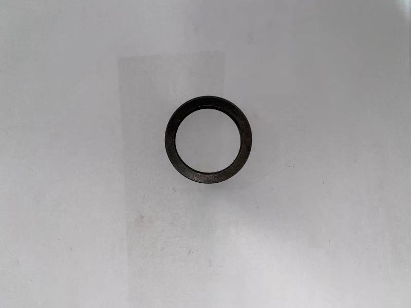 Engine Parts End Ring for 6190 12V. 48.04