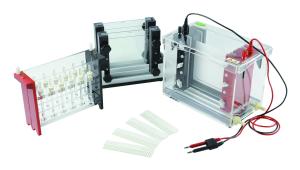 Wholesale 13.2 Kg 2d Gel Electrophoresis System 460 × 230 × 400 Millimeter Volume from china suppliers