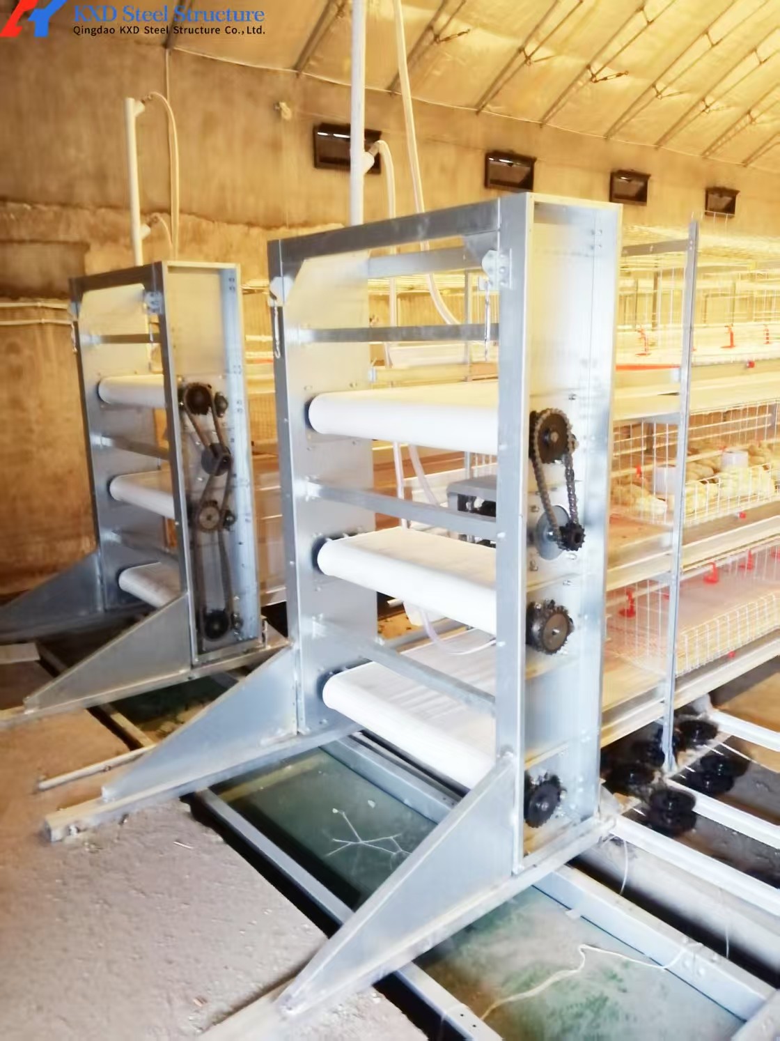 Fully Automated Broiler Chicken Cage System For Philippines Poultry Farming