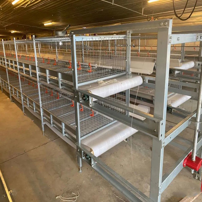 Fully Automatic Battery Broiler Chicken Cage Poultry Farming H Type