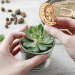 Succulent Tags Watch Me Grow Wooden Plant Label Garden Marker Plant Sign
