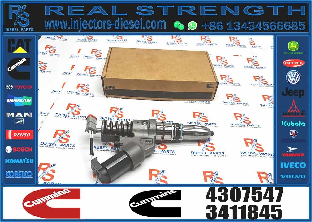 4307547 4061851 Ism11 Qsm11 Engine Fuel Injector For Excavator Diesel Engine Parts For Sale