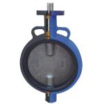 Dn150 Dn50 Dn250 Dn200 10 Inch Soft Seat Pneumatic Actuated Ductile Cast Iron