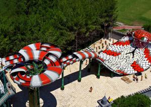Wholesale Giant Aqua Play Snake Style Amusement Park Slides High Temperature Resistance from china suppliers