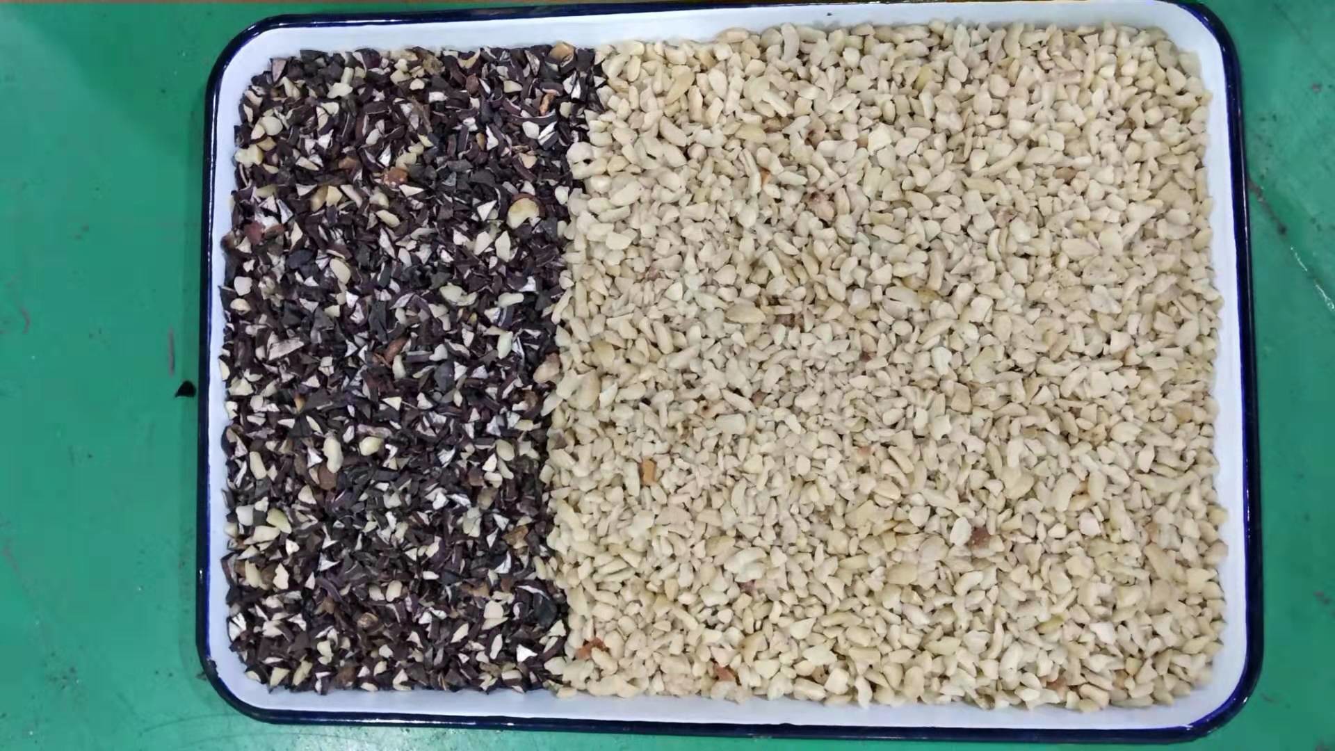 Candle Nut Color Sorter chestnut Separator Selector Machine Sorting for Nut