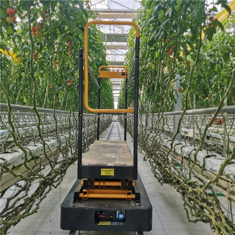 Agricultural Planting Orchard Lifting Car Track Picking Climbing Special Track System