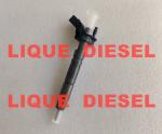 BOSCH piezo fuel injector 0445115059 0445115060 0 445 115 059 0 445 115 060