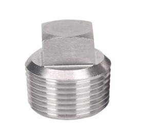 Wholesale 1/2&quot; NPT Male Pipe Fittings , SS304 Solid Square Head Plug from china suppliers