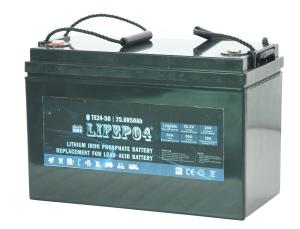 Wholesale Portable 24v 30ah Lifepo4 Battery Lifepo4 Lithium Ion Battery from china suppliers