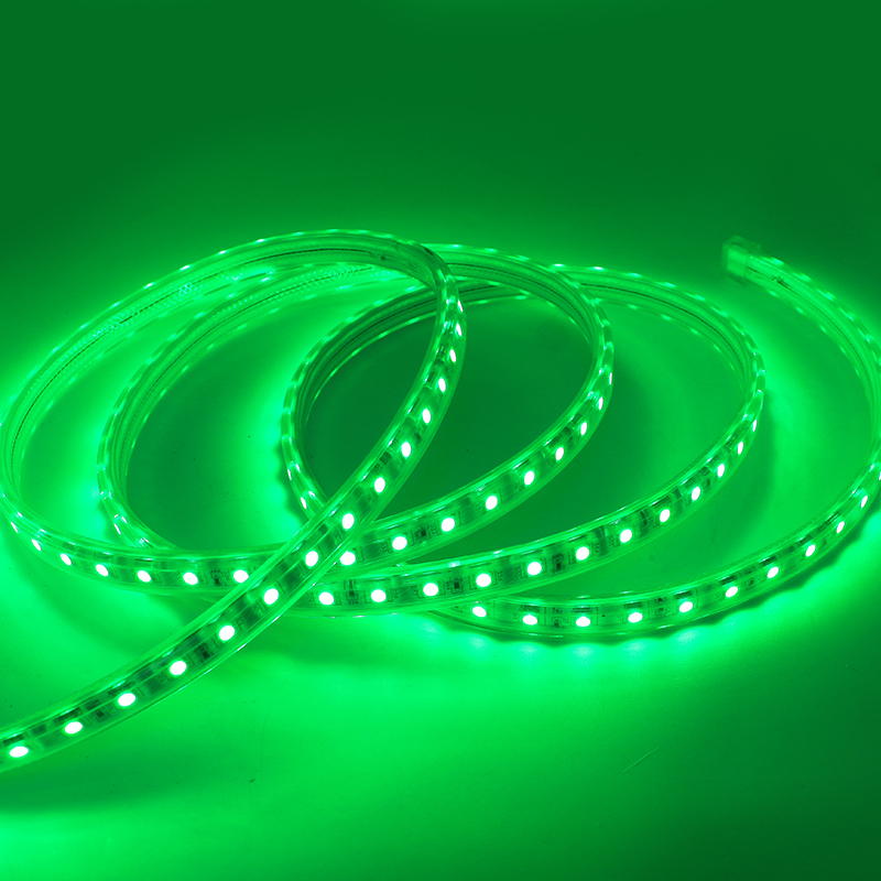 110V Remote Control Smart LED Rope Lights , Dimmable Smd LED Flexible Strips 5050