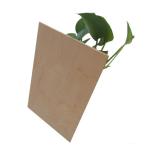 Hardwood CARB 5mm 12mm Formica Faced Birch Plywood