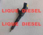 BOSCH common rail injector 0445110561 0 445 110 561 0445110560 0 445 110 560