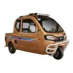 Gasoline Motorized 3 Wheel Pickup Truck 200CC Passenger Tricycles