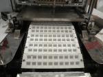 Fruit Juice Gummy Production Line