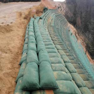 Wholesale Geotextile Geobag For Road River Bank Embankment Slope Soil Erosion Protection from china suppliers
