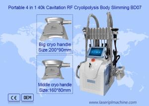 Wholesale 2 Handle 650nm 1mhz Cryolipolysis Slimming Machine from china suppliers