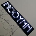 Outdoor Business LED Acrylic Signage