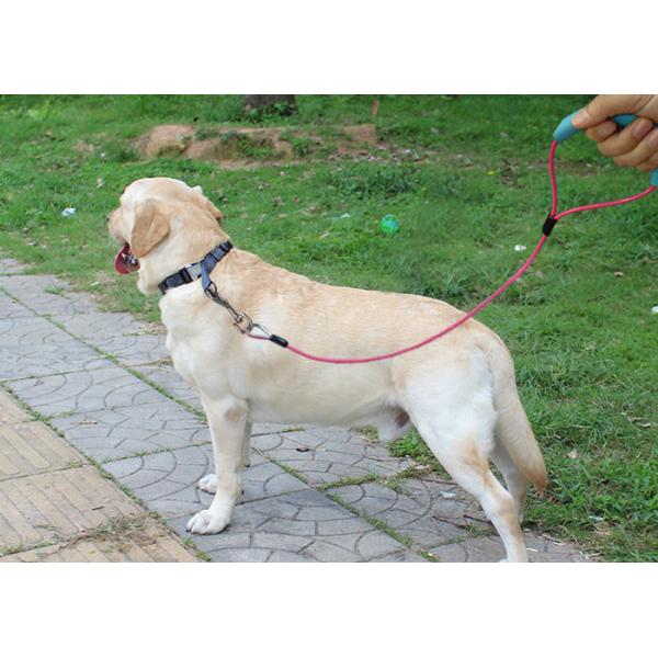 Rust Resistant Pet Tie Out Cable , Safety Long Dog Tie Down Cable Vinyl Coated