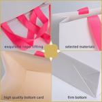 Luxury Printed Custom Logo Clothing Gift Paper Packaging Bags with Hand Length