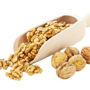 Wholesale Professional dried fruit and nuts factory wholesale sale fresh and dried walnuts from China from china suppliers