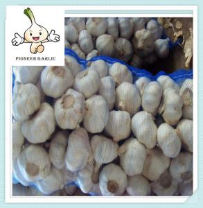Wholesale Chinese Fresh Garlic Supplier of China 10kg/carton 250g x 40bags from china suppliers
