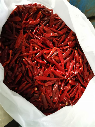Zero Addition Small Red Dried Chillies Premium 10KG Tianjin Peppers