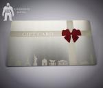 Etched Original Stainless Steel Metal VIP Passes Cards With Cut Out Shape