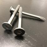 G304 14g Batten Screws 75mm Type 17 Stainless Steel Screws Bugle Head With Ribs