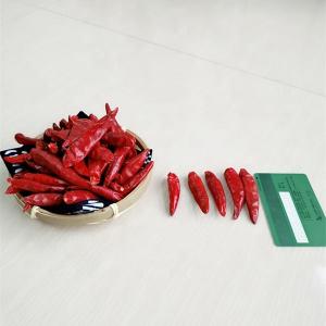 Wholesale 25kg/Ctn Crushed Chilli Peppers 3 - 5mm 500 - 50000shu Hot from china suppliers