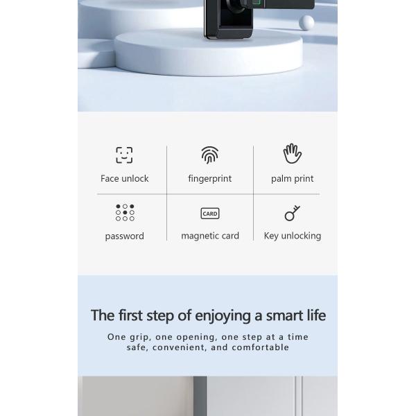 Qleung S810max Smart Home Lock With Card Code Key Fingerprint Palm Password Multi-unlock Ways