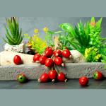 Red Wooden Craft Beads Flower Style Wood Strawberry Beads for Jewelry Making DIY