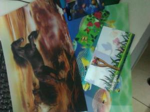 Wholesale Good price 3D animal picture animation 3D lenticular animal photo promotional gift PET lenticular cards flip 3D picture from china suppliers