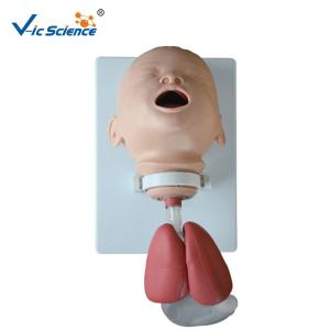 Wholesale Infant Intubation Pvc Doctors Medical Training Manikins Model from china suppliers