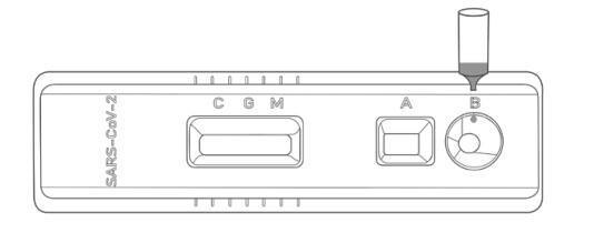 High Accuracy 15 Minutes Covid 19 Test Kits