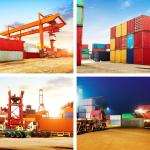 Special Service Sea Freight Logistics To Mexico With Collect Service