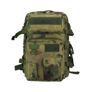 Wholesale Outdoor Beach Hiking Camping Travelling 40L Waterproof Backpack with Custom Design from china suppliers