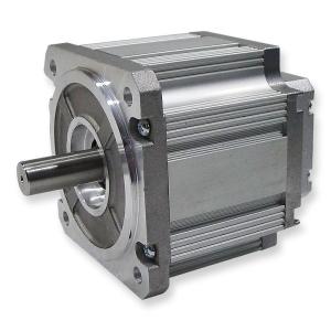 Wholesale 48VDC 3000 RPM Max Radial Force 220N Brushless E Motor from china suppliers