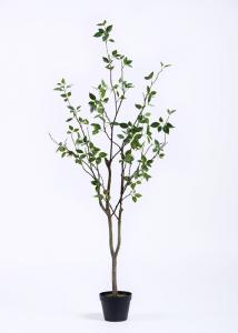 Wholesale Cedrela Artificial Topiary Trees ,  Perfect Fit Realistic Artificial Plants Natural Structure from china suppliers