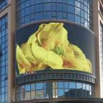 Advertising Outdoor LED Display Waterproof Cabinet P5