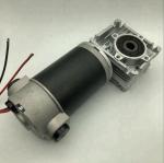 Custom12v 24v 36v 48v High Torque DC Gear Motor Brushed or Brushless 50 watt 100