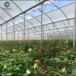 Intelligent Smart Agricultural Gothic Greenhouse Customization Size