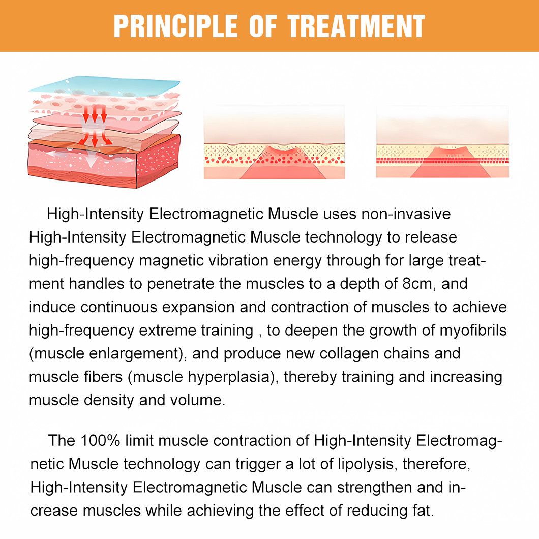 Innovative 8 Languages EMS Sculpting Machine Body Fat Reduction with 14 Tesla Intensity