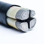 Low Voltage Copper Conductor 1x300mm2 XLPE Power Cable for Durable Power