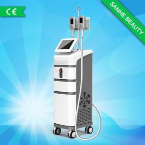 Wholesale Wholesales!!The Cryolipolysis fat freezing vacuum beauty machine for beauty center from china suppliers