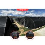 Plastic Film and Shade Net Mushroom Farm Greenhouses Hot Galvanized Steel